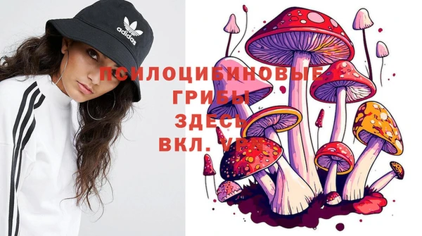 apvp Ладушкин