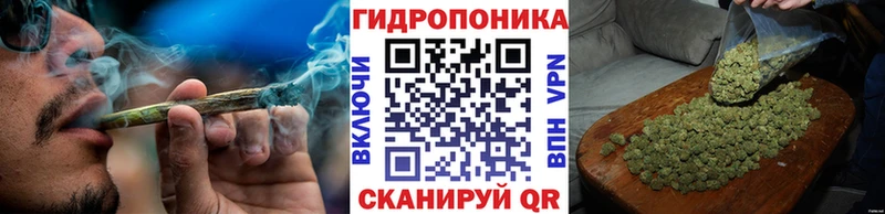 МАРИХУАНА план Луза